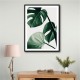 Monstera Natural 42