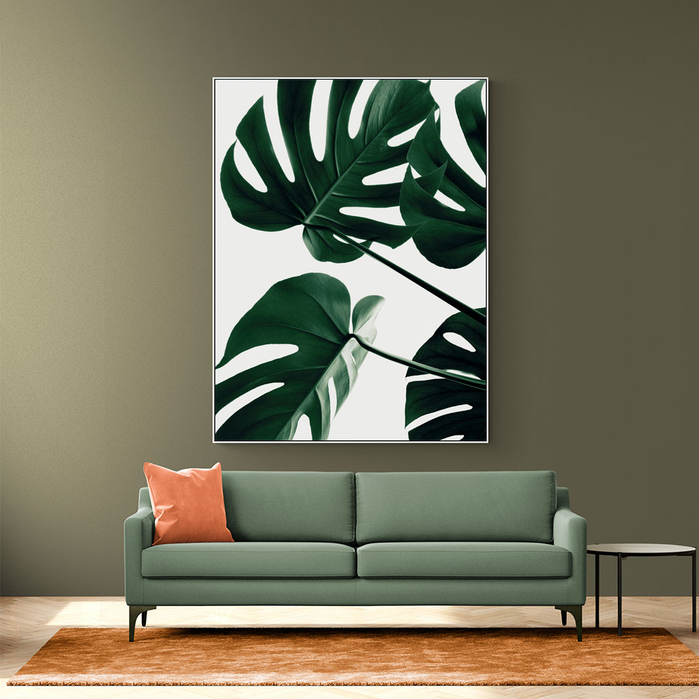 Monstera Natural 43