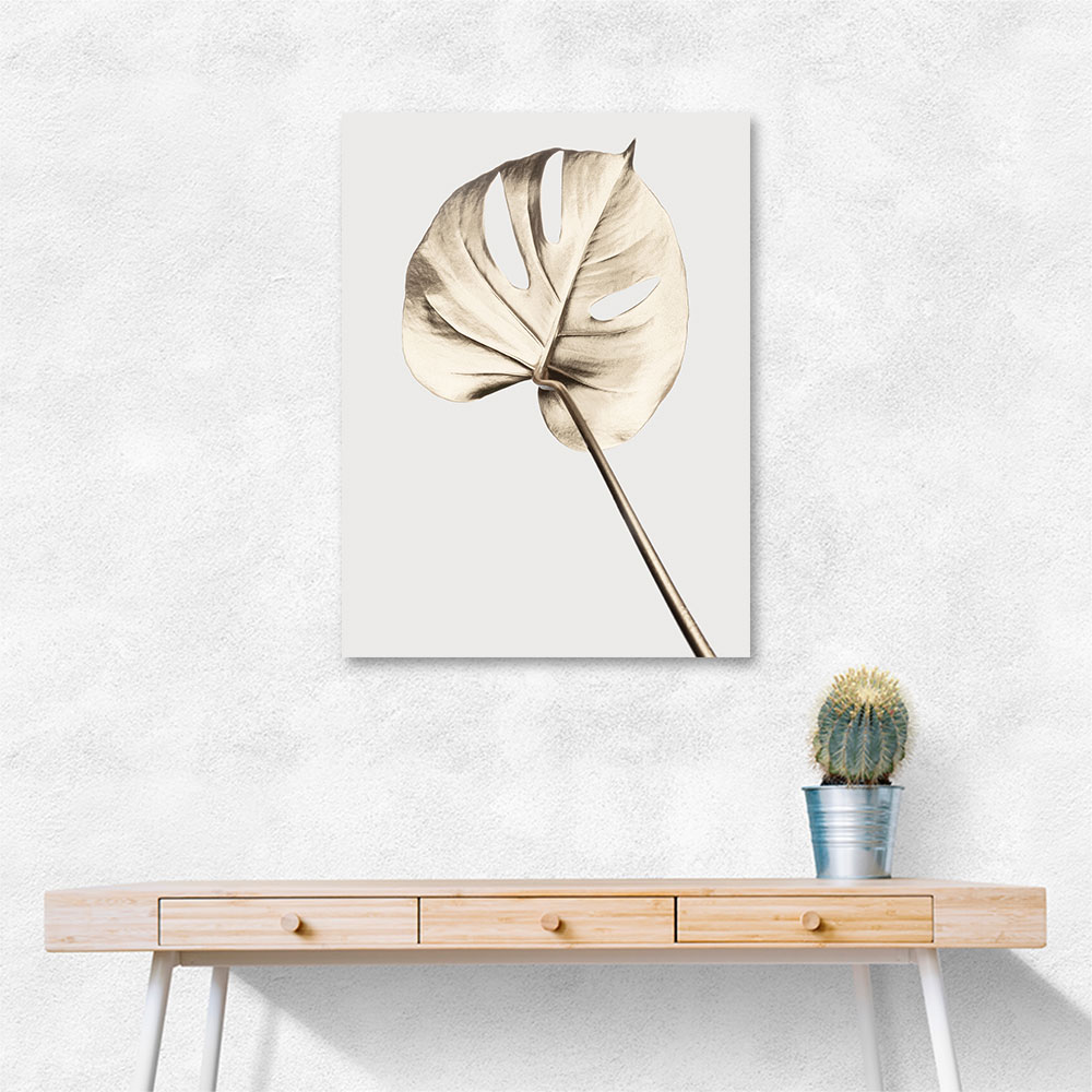 Monstera Gold 05