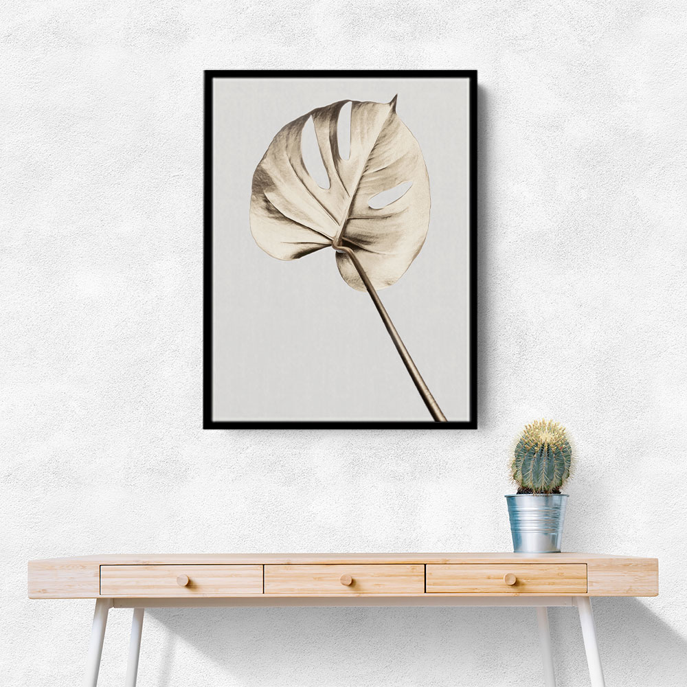 Monstera Gold 05