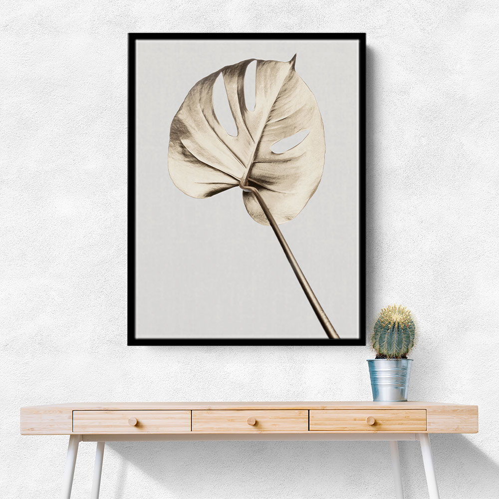 Monstera Gold 05