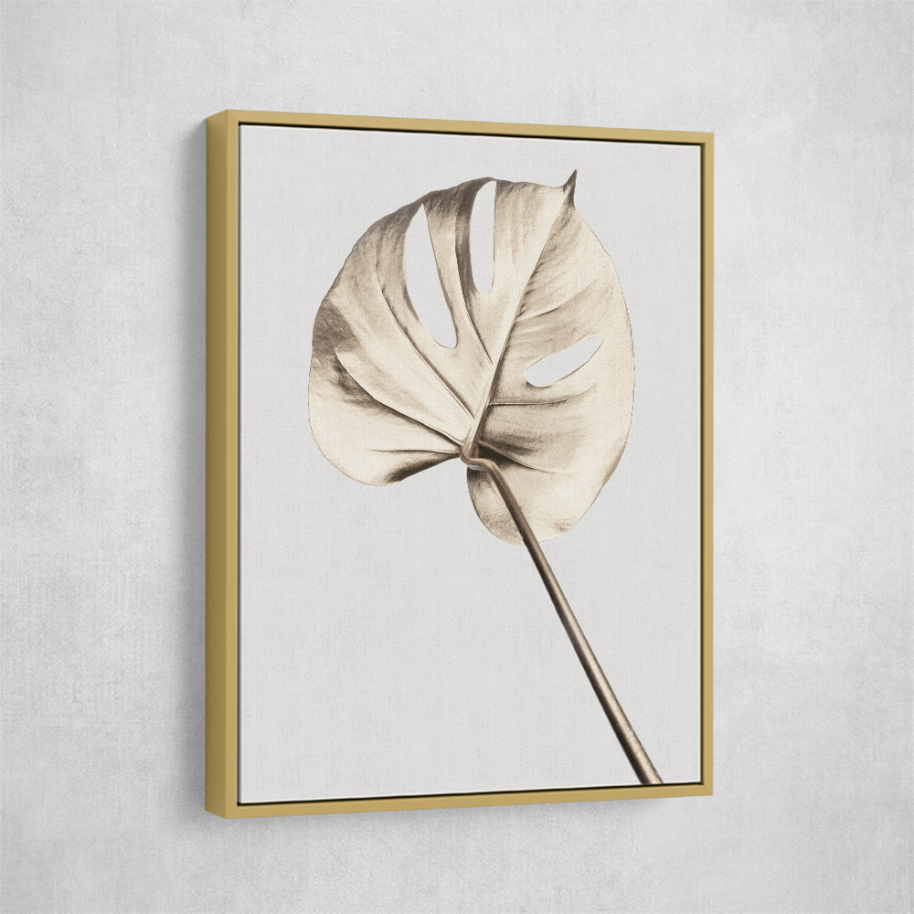 Monstera Gold 05