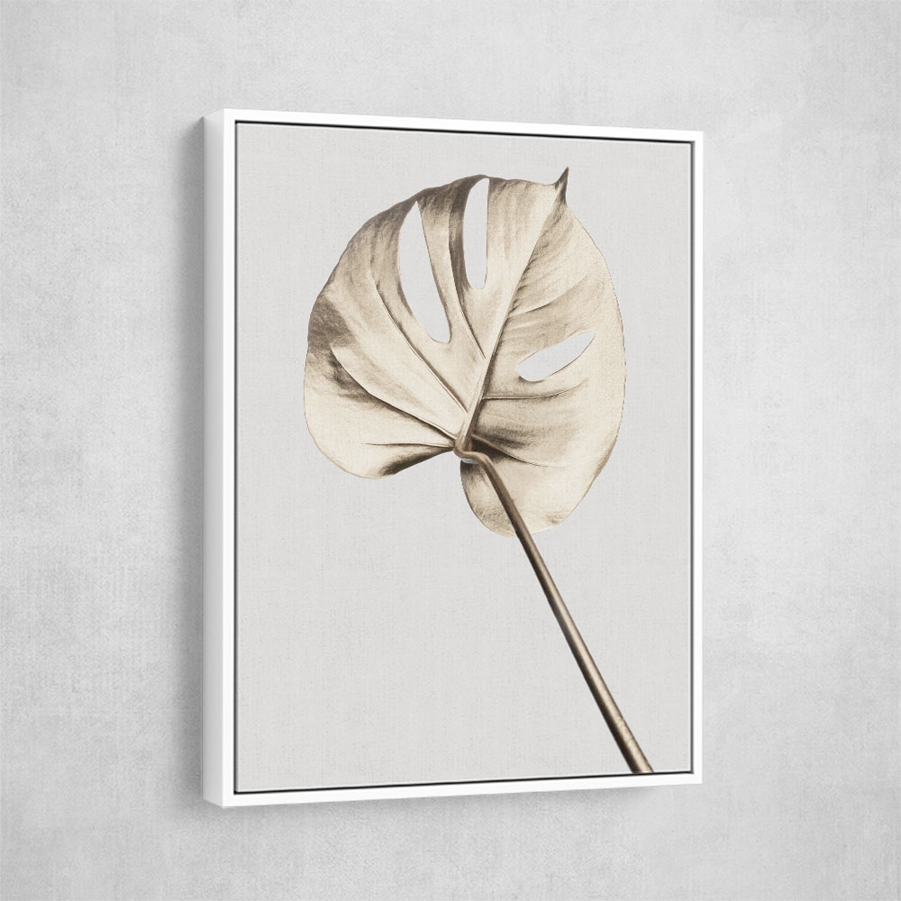 Monstera Gold 05