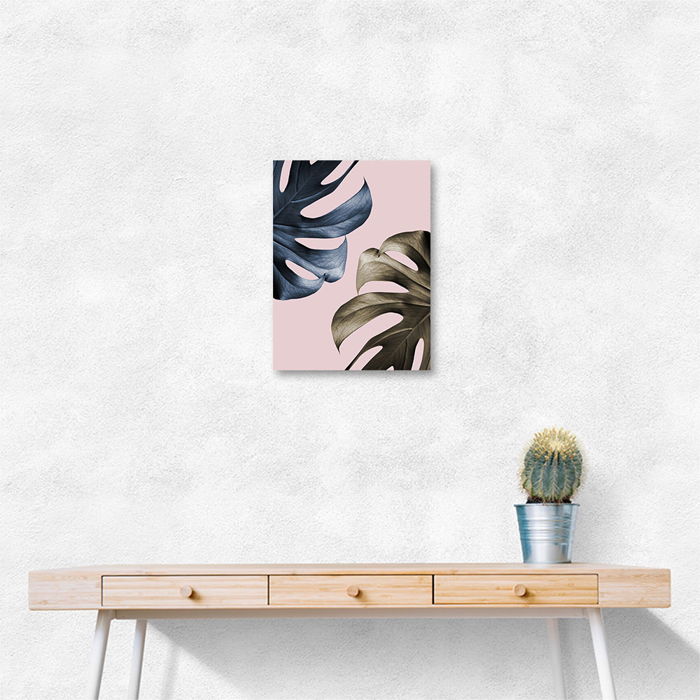 Monstera Pink Light 01 Monstera Pink Light 01