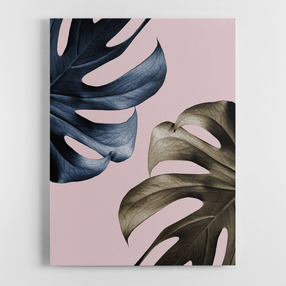 Monstera Pink Light 01