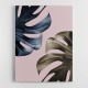 Monstera Pink Light 01 Monstera Pink Light 01