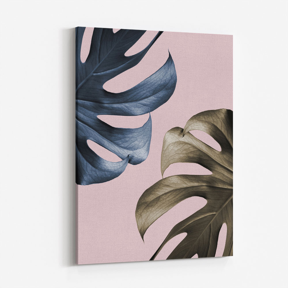 Monstera Pink Light 01 Monstera Pink Light 01