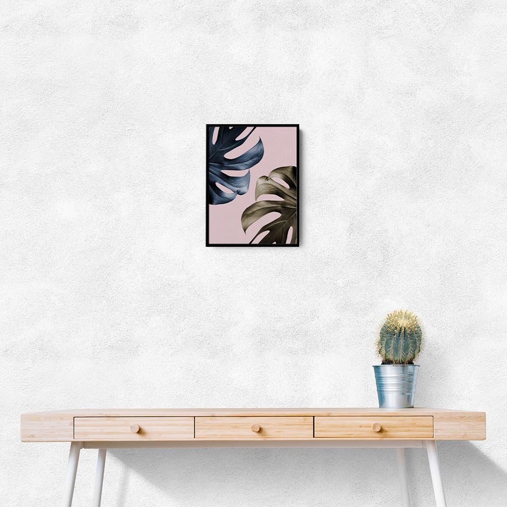 Monstera Pink Light 01 Monstera Pink Light 01