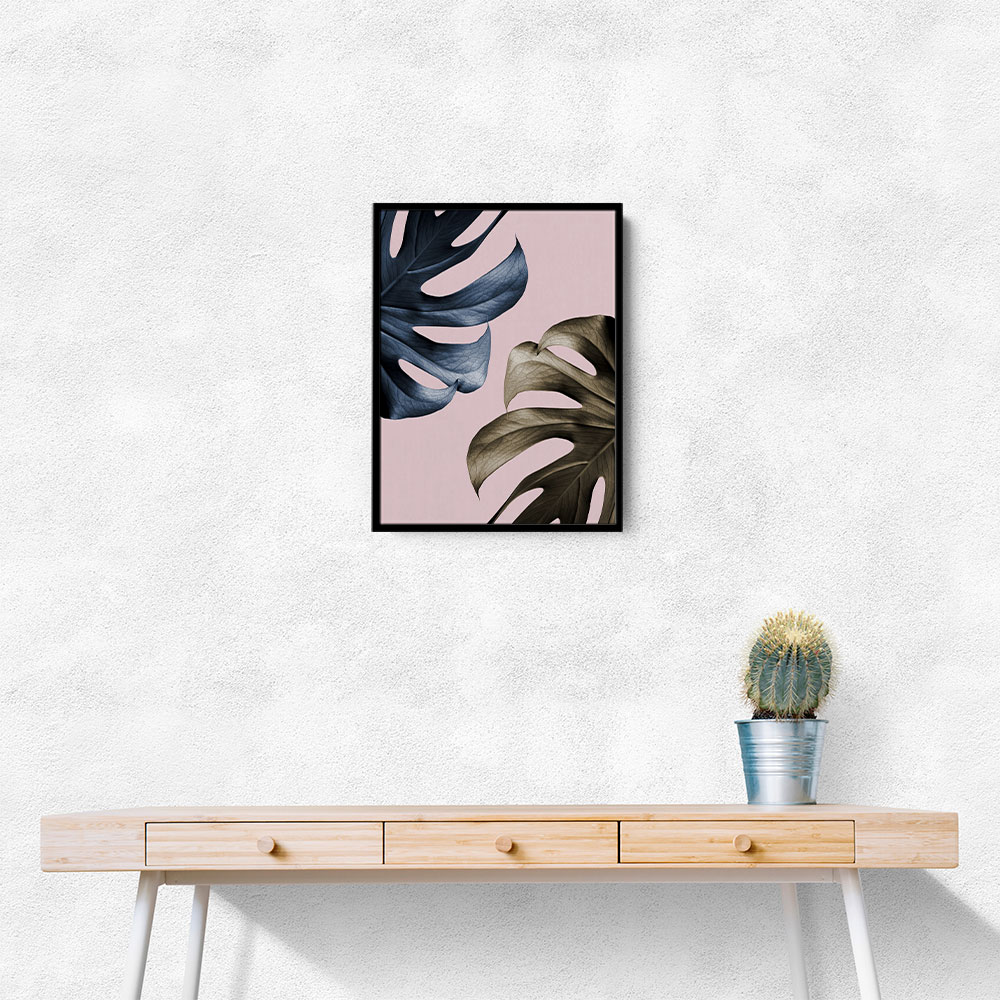 Monstera Pink Light 01 Monstera Pink Light 01