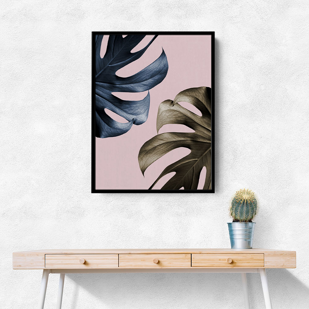 Monstera Pink Light 01 Monstera Pink Light 01