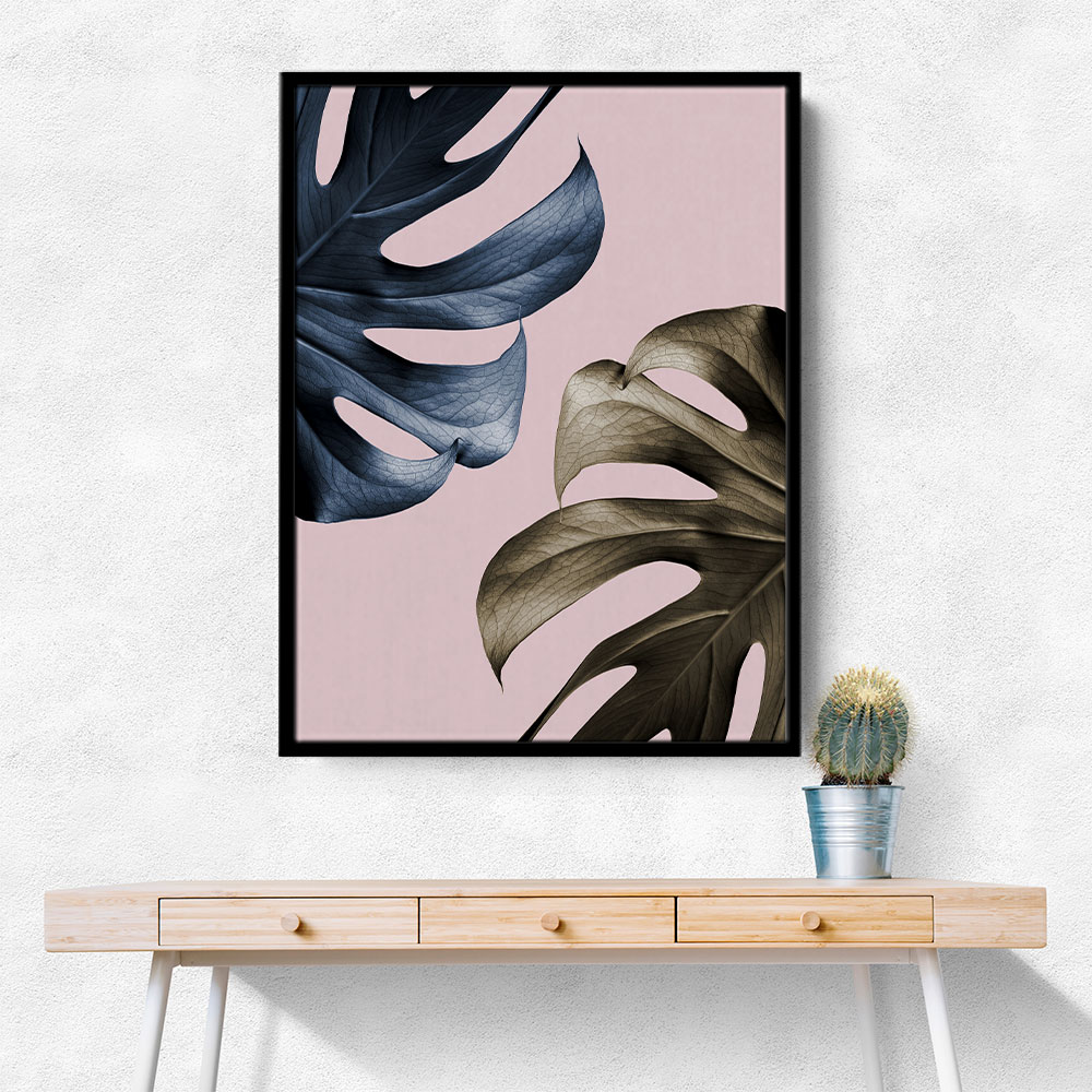 Monstera Pink Light 01 Monstera Pink Light 01