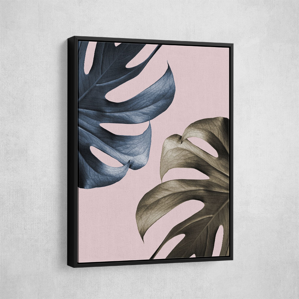 Monstera Pink Light 01 Monstera Pink Light 01