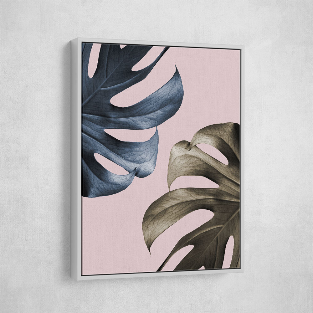 Monstera Pink Light 01 Monstera Pink Light 01
