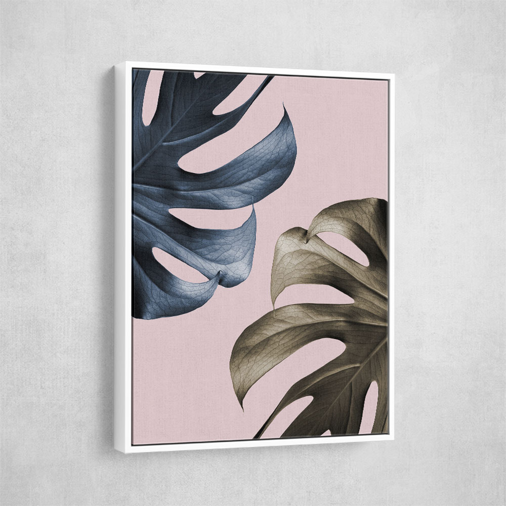 Monstera Pink Light 01 Monstera Pink Light 01