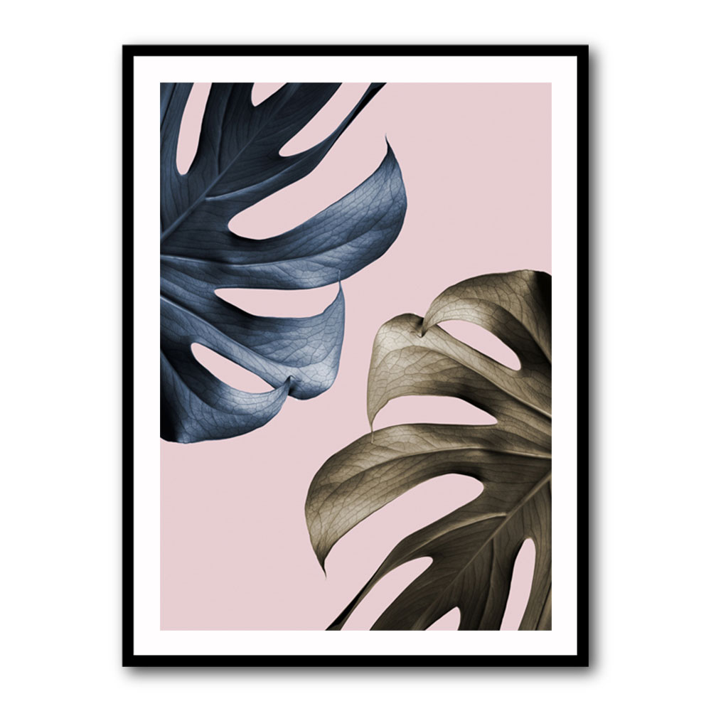 Monstera Pink Light 01 Monstera Pink Light 01