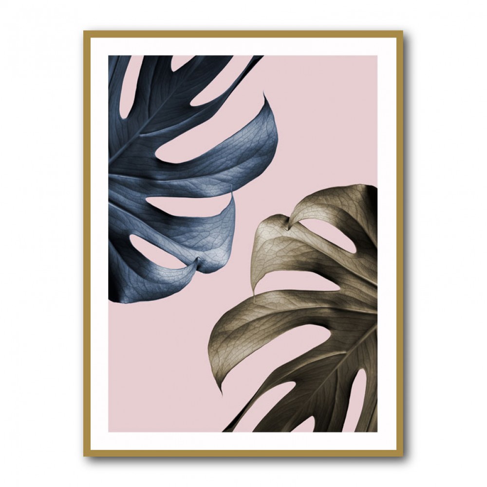 Monstera Pink Light 01 Monstera Pink Light 01