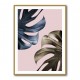 Monstera Pink Light 01 Monstera Pink Light 01