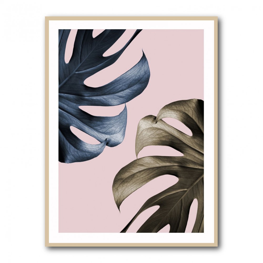 Monstera Pink Light 01