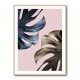 Monstera Pink Light 01 Monstera Pink Light 01