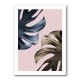 Monstera Pink Light 01