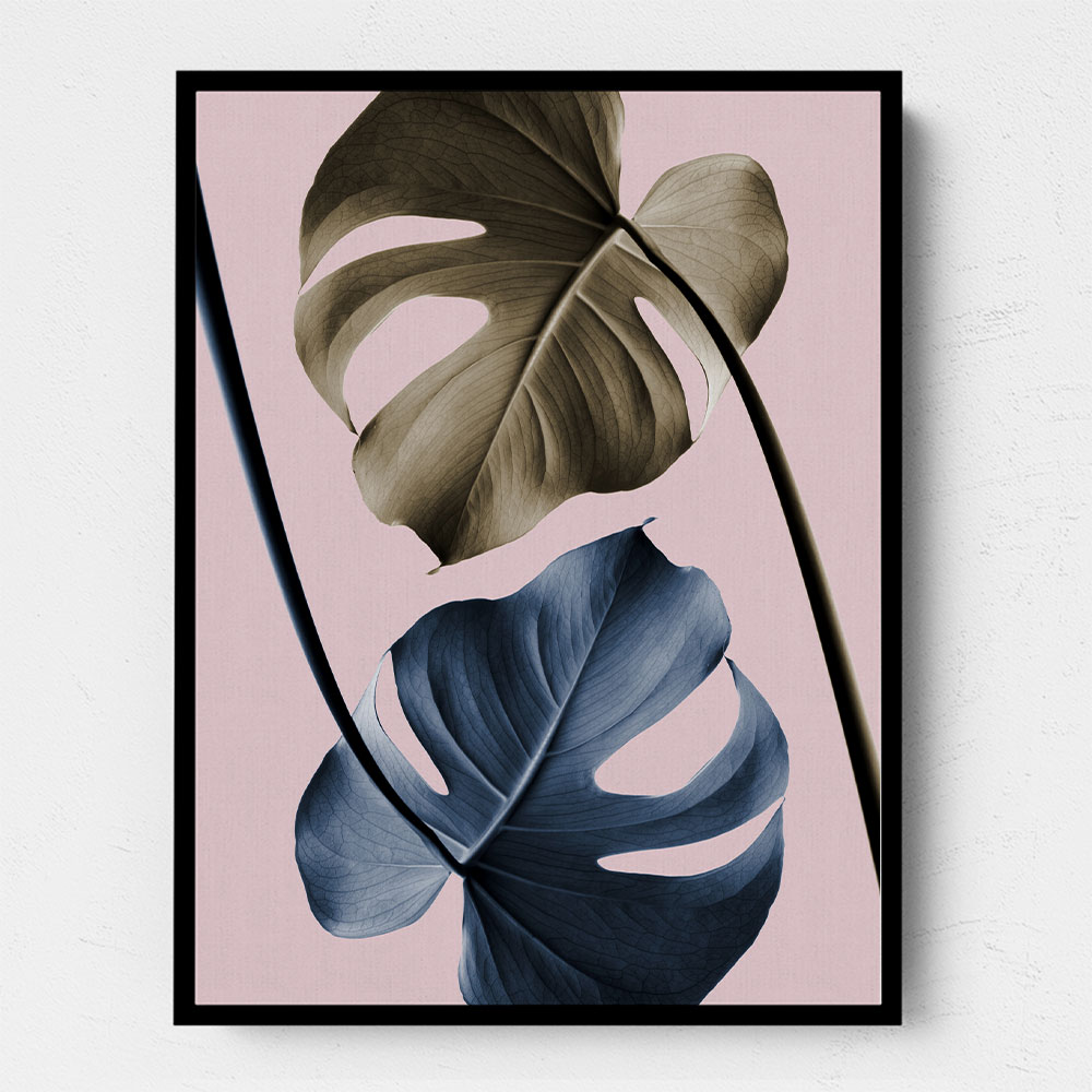 Monstera Pink Light 02