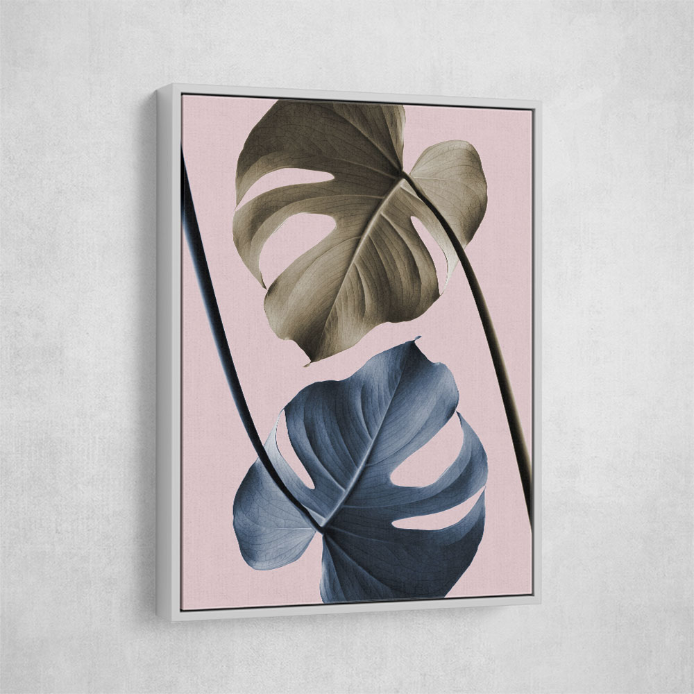 Monstera Pink Light 02