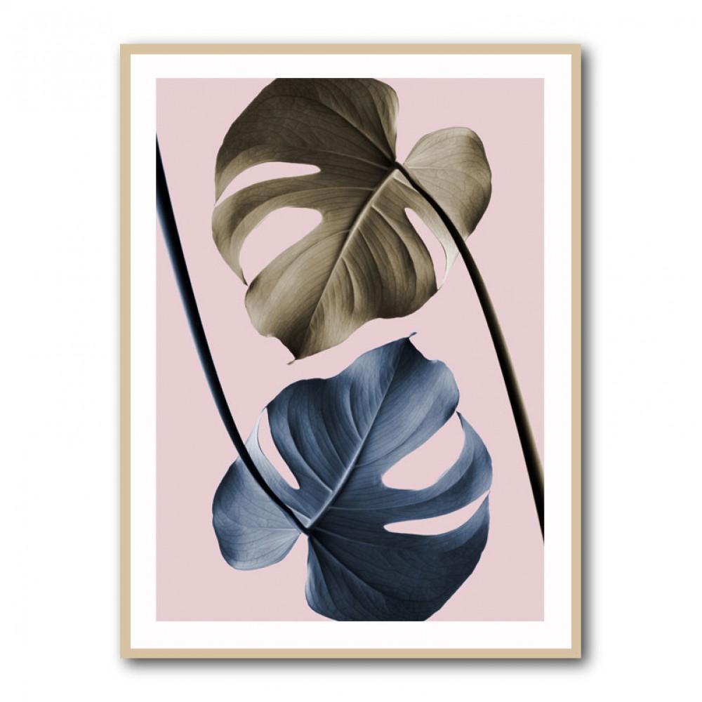 Monstera Pink Light 02