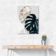 Monstera Creative 05