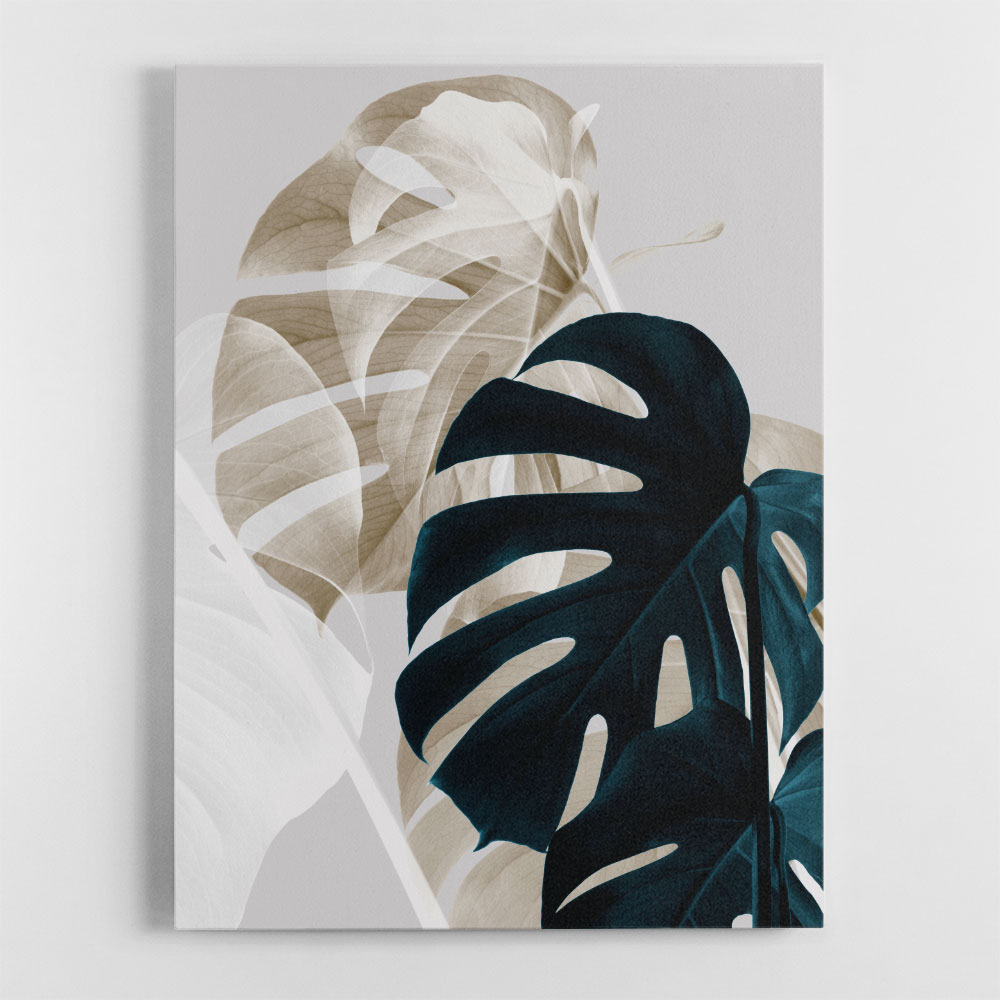 Monstera Creative 05