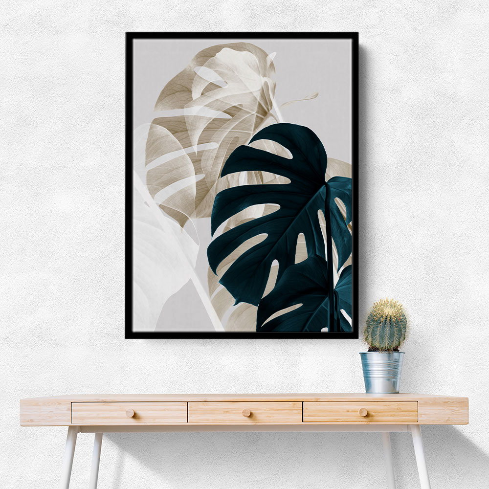 Monstera Creative 05