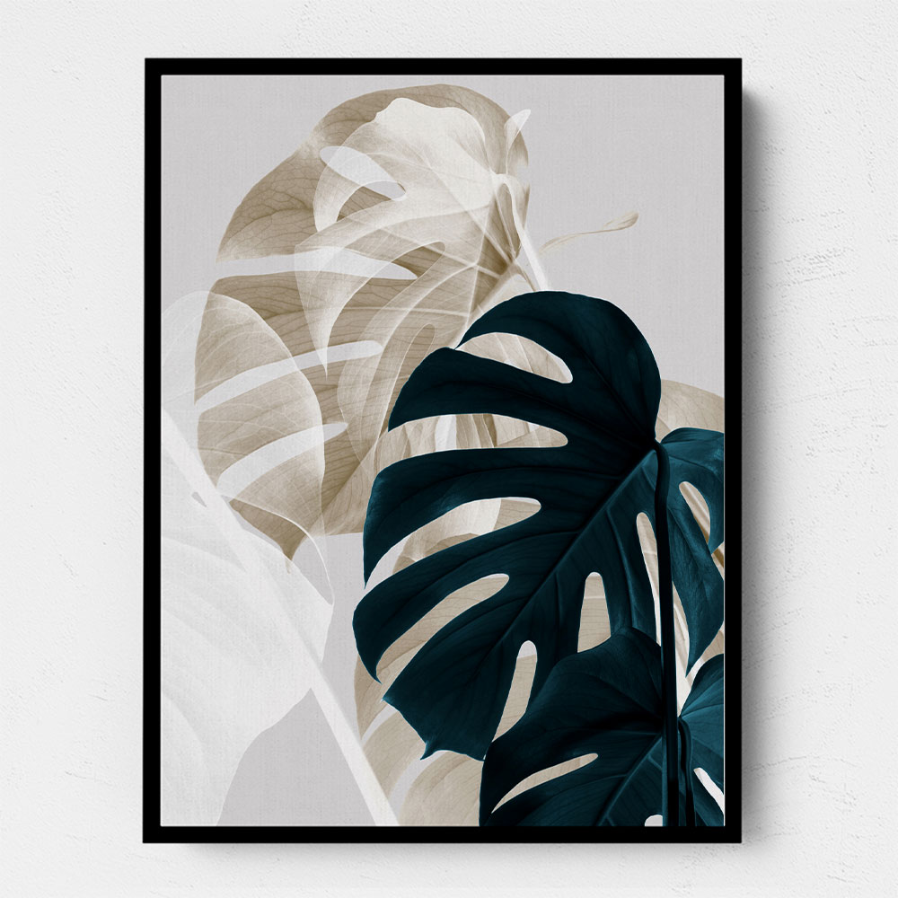 Monstera Creative 05