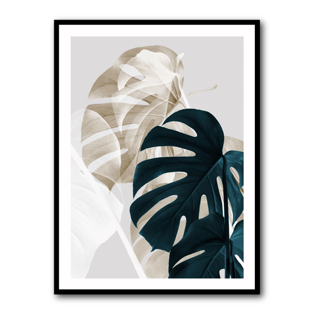 Monstera Creative 05