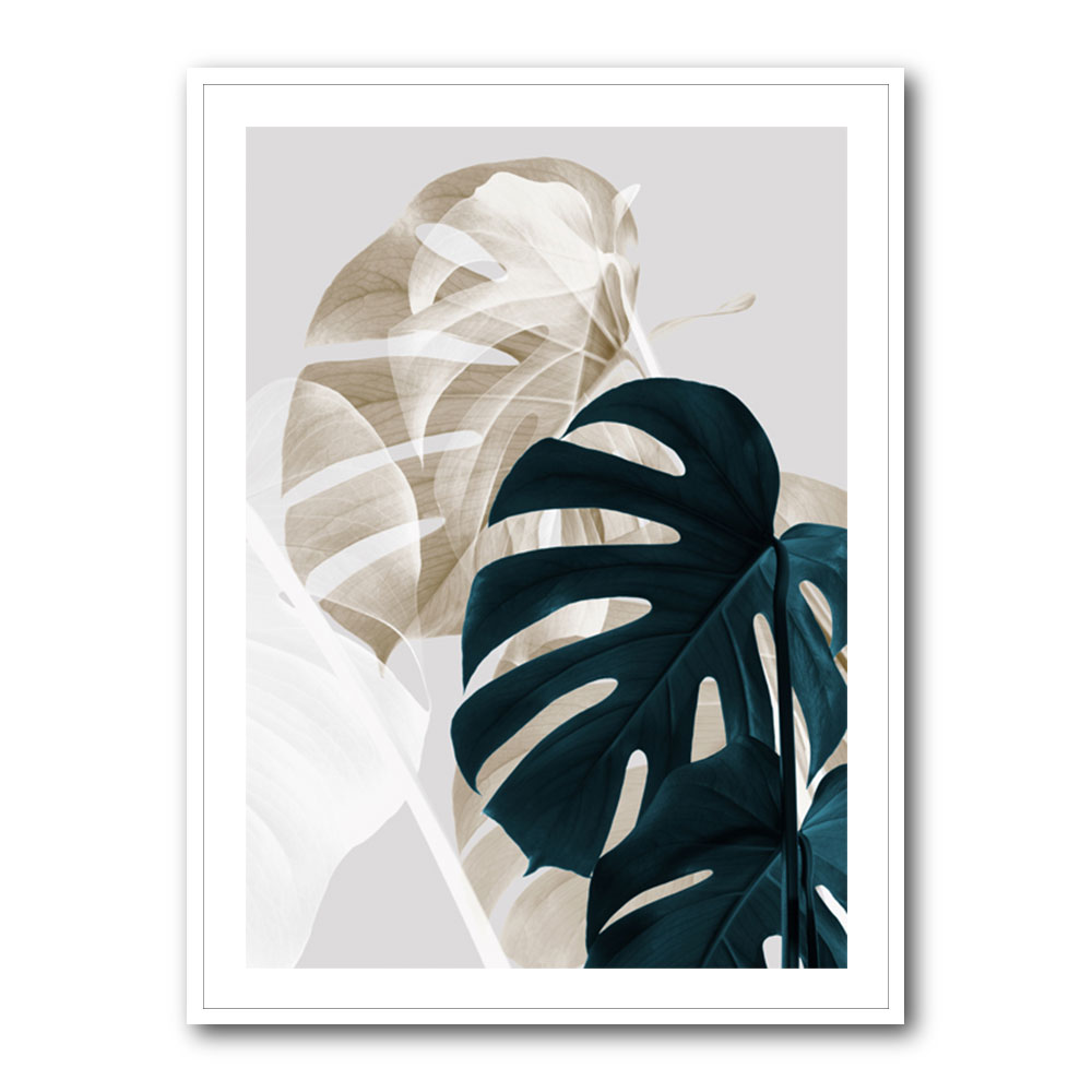 Monstera Creative 05