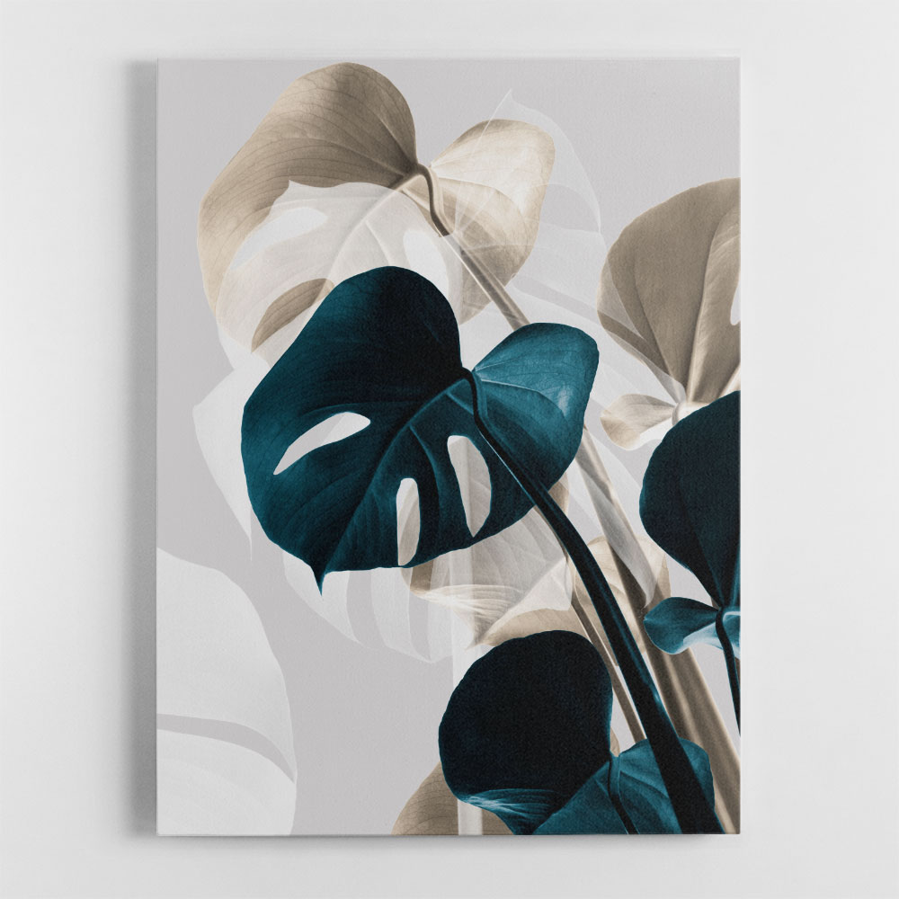 Monstera Creative 10