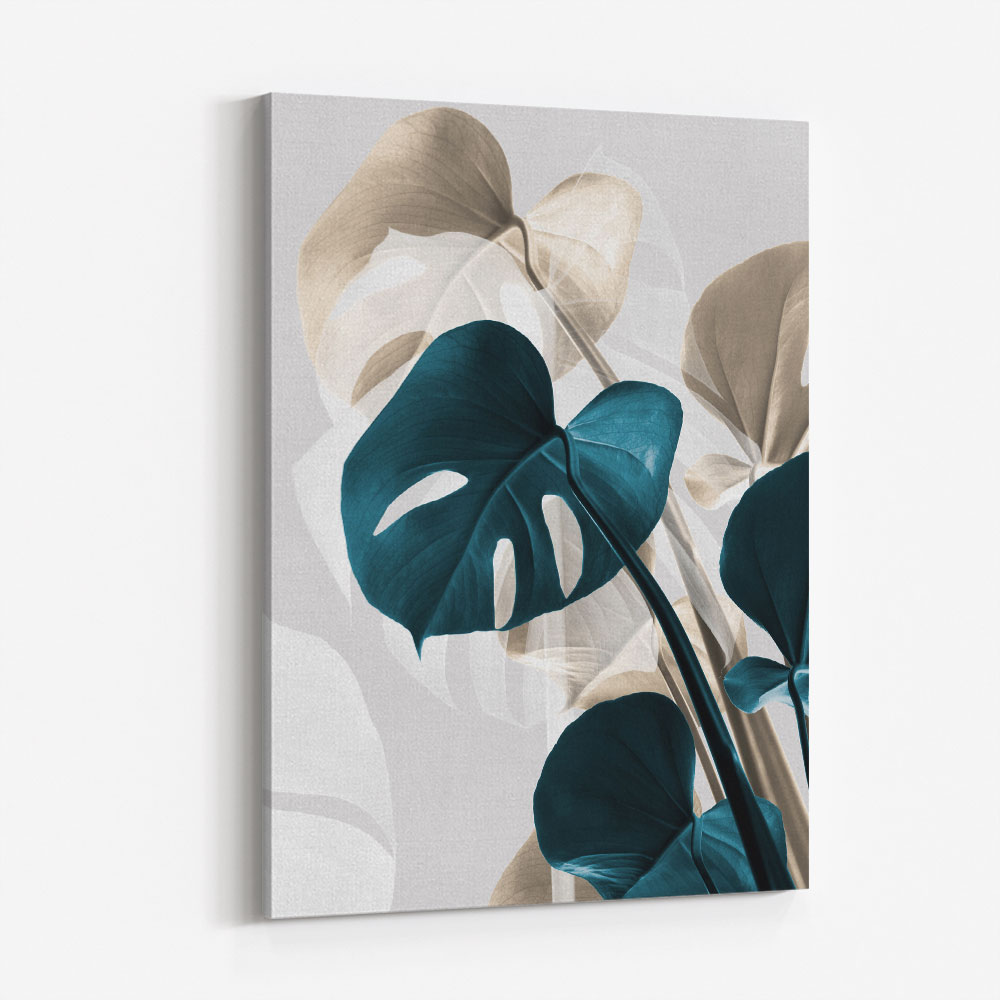 Monstera Creative 10