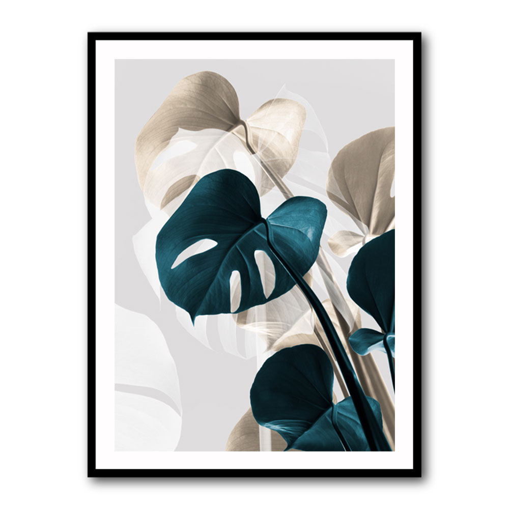 Monstera Creative 10 Monstera Creative 10