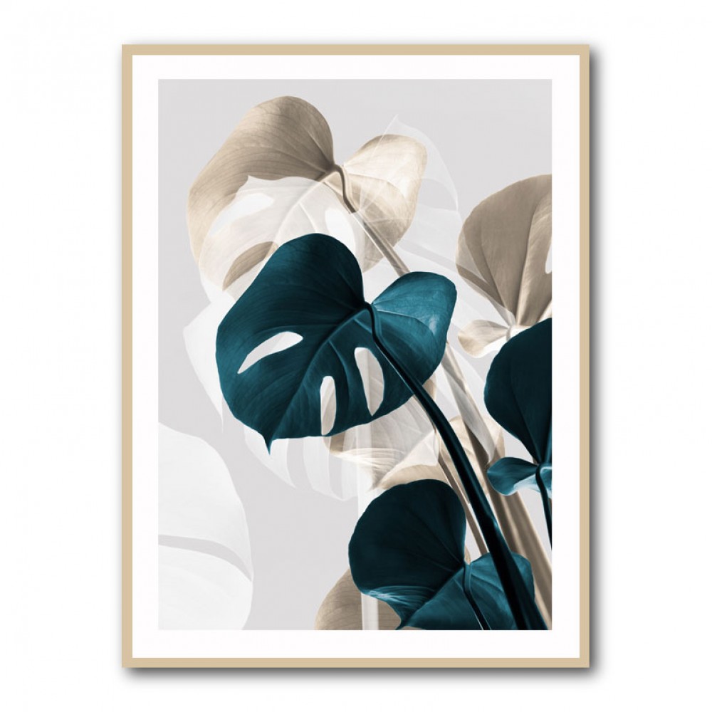 Monstera Creative 10 Monstera Creative 10