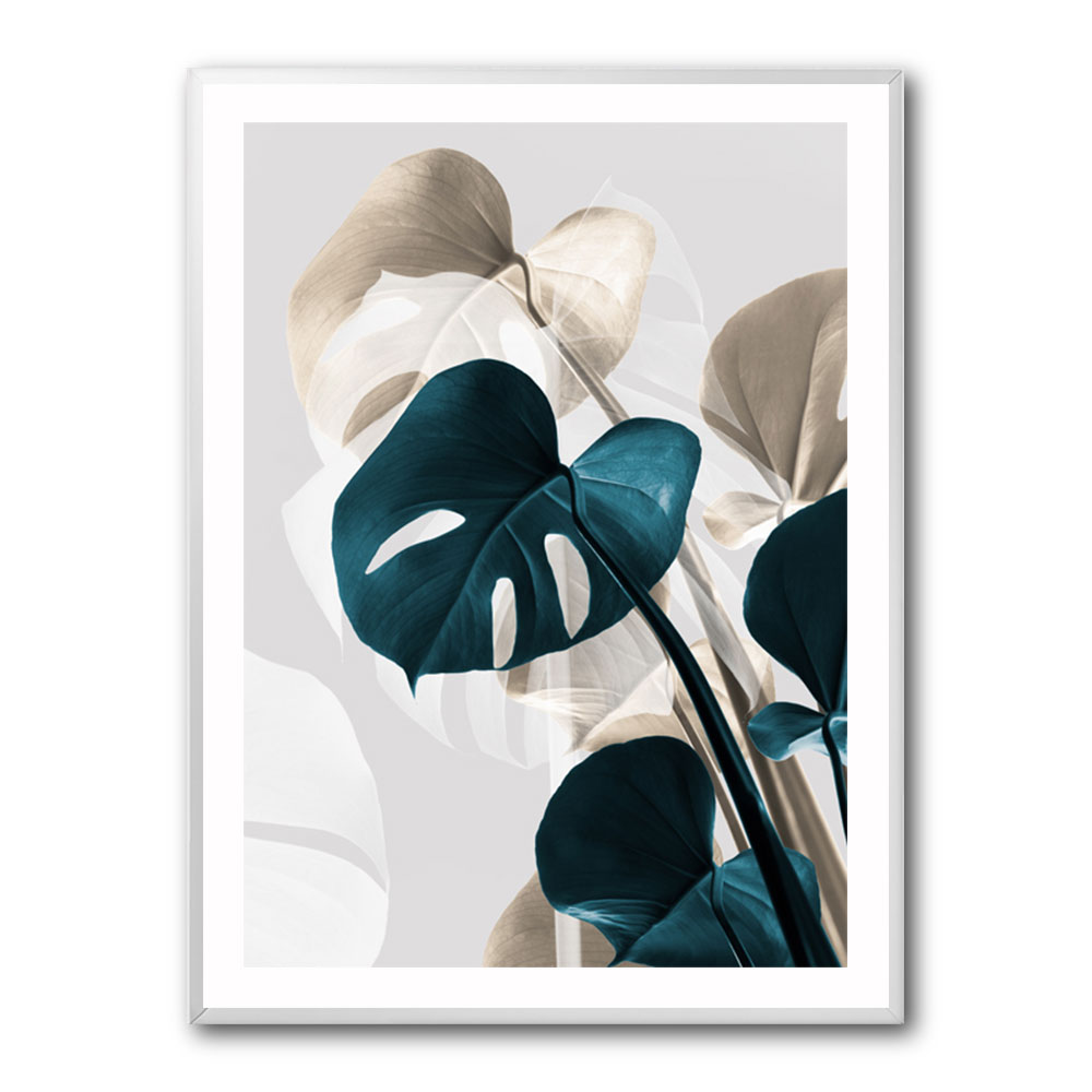 Monstera Creative 10 Monstera Creative 10