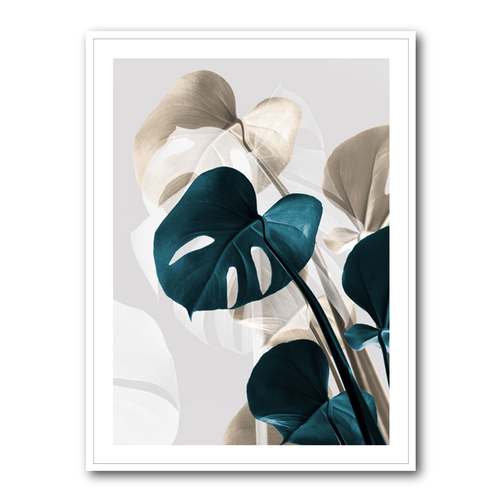 Monstera Creative 10 Monstera Creative 10