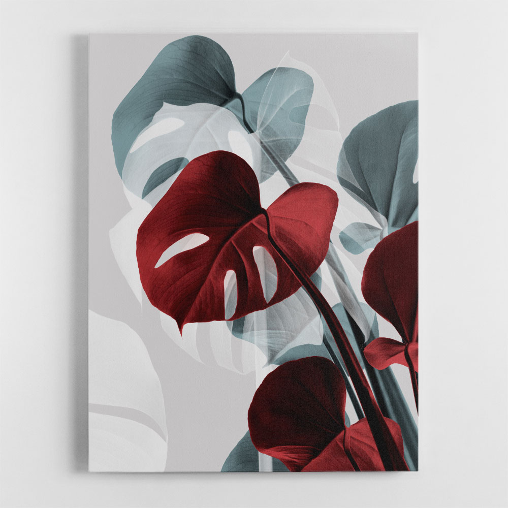 Monstera Creative 15