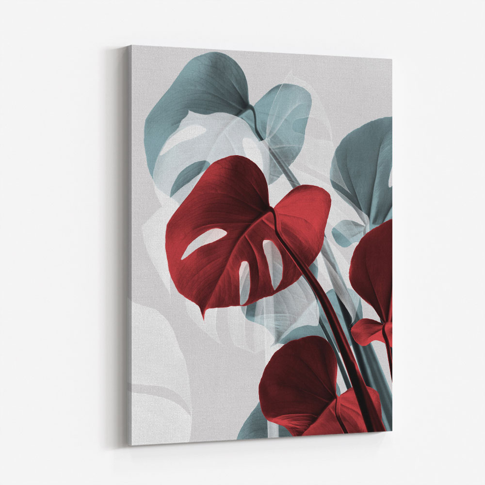 Monstera Creative 15