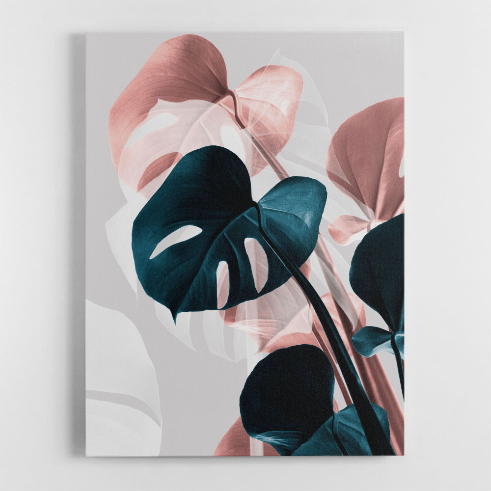 Monstera Creative 17