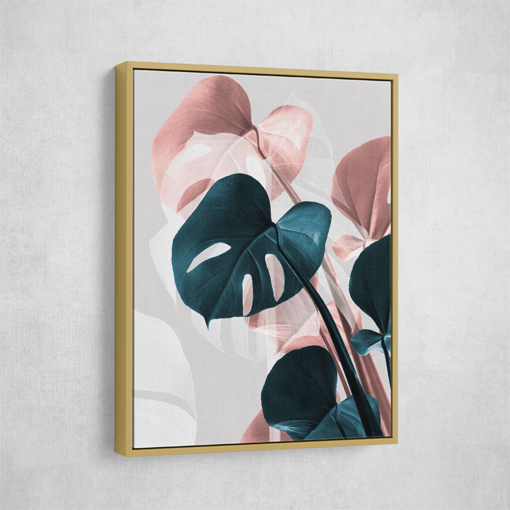 Monstera Creative 17