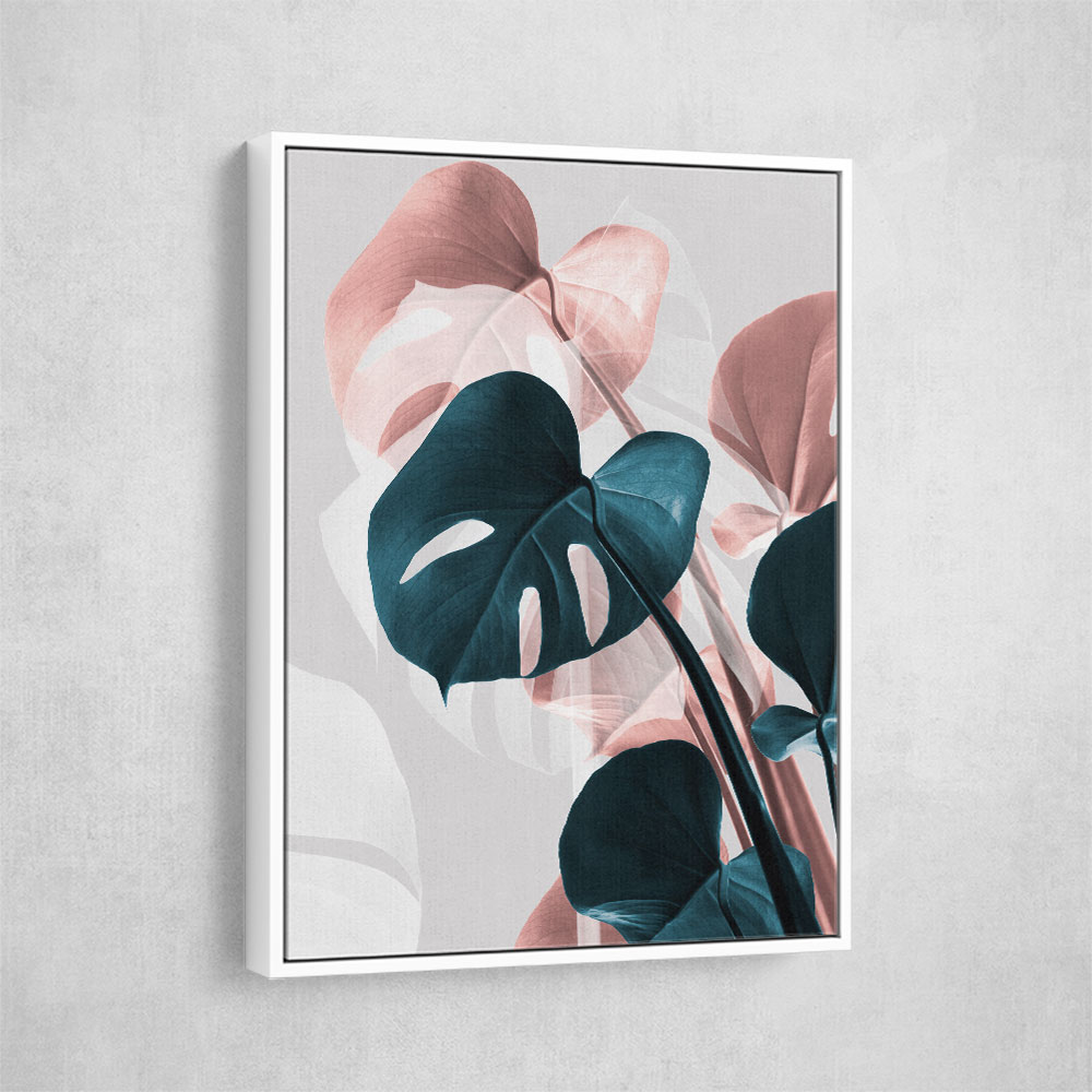 Monstera Creative 17