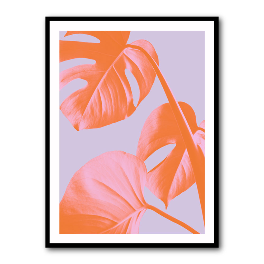 Monstera Purple 03