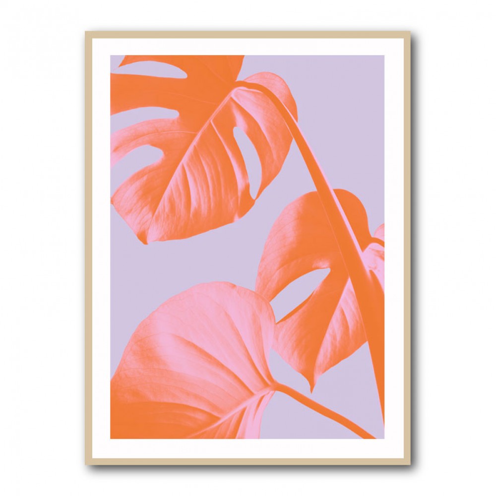 Monstera Purple 03