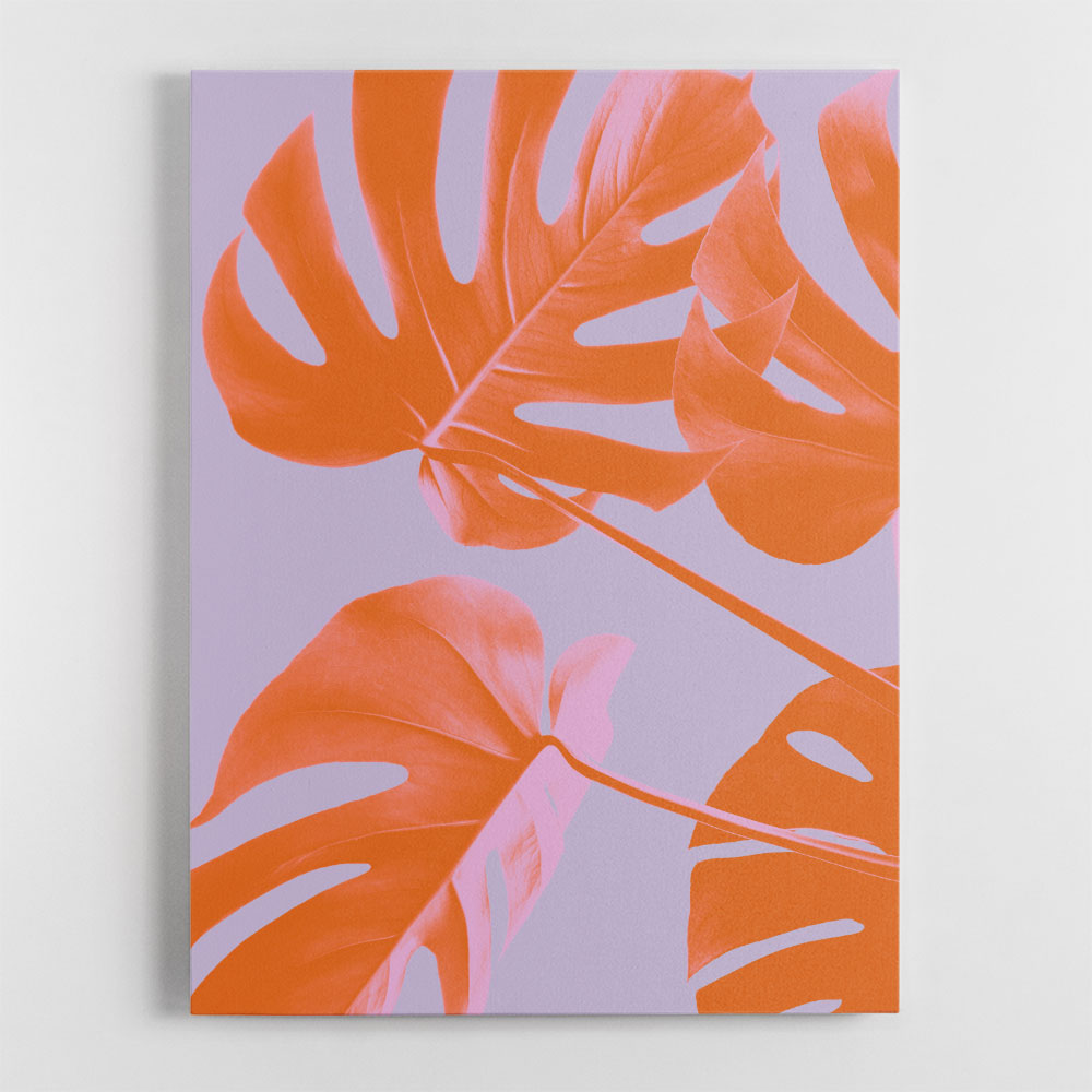 Monstera Purple 04