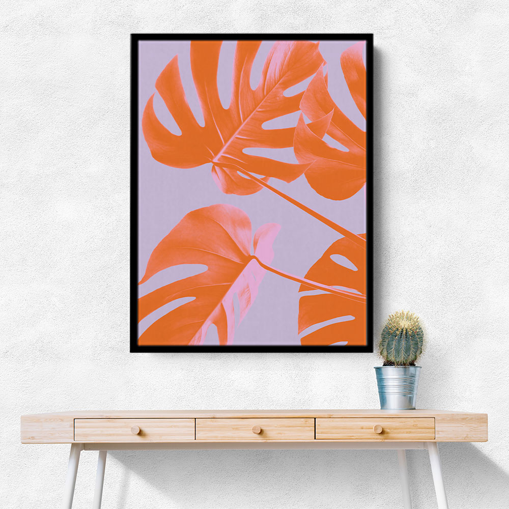 Monstera Purple 04 Monstera Purple 04