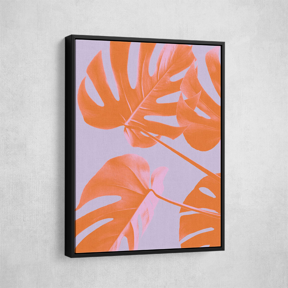 Monstera Purple 04 Monstera Purple 04