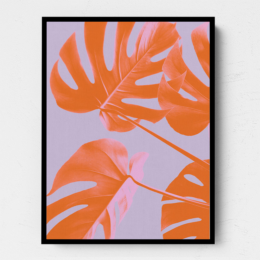 Monstera Purple 04 Monstera Purple 04